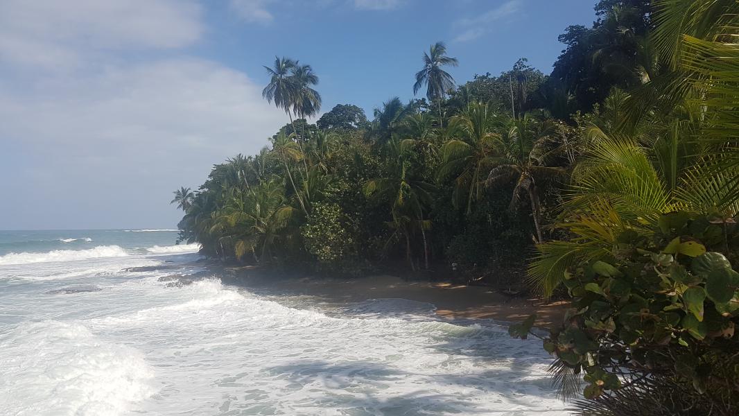 Le blog du voyage en famille Puerto Viejo Costa Rica 2 Le blog du voyage en famille
