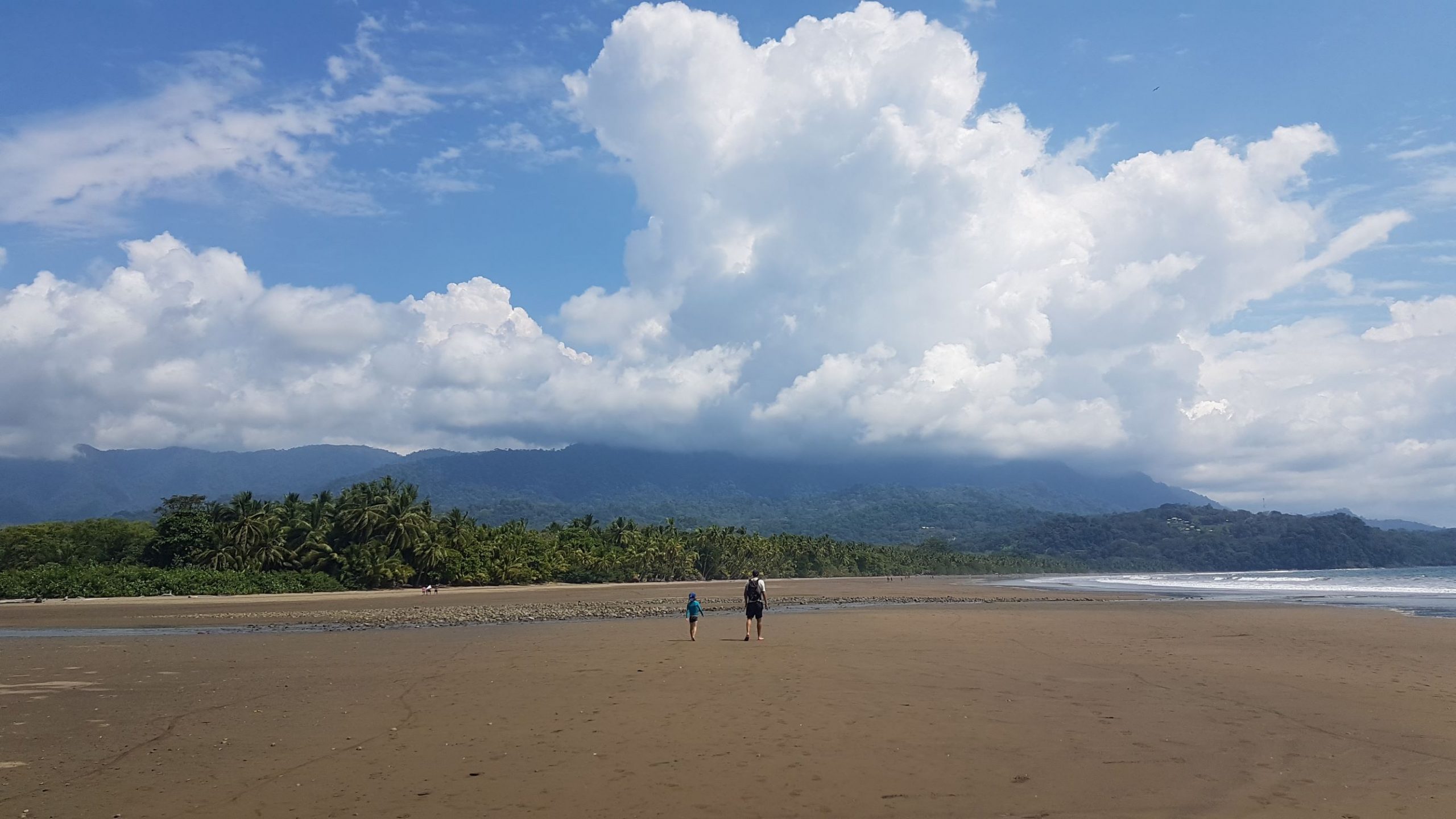 Le blog du voyage en famille parc national marino ballena scaled Le blog du voyage en famille